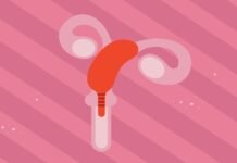 How Uterus Transplants and Pregnancy Works