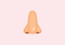 Is Pregnancy Nose Real? – Intimina