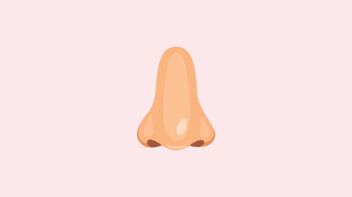 is-pregnancy-nose-real.jpg